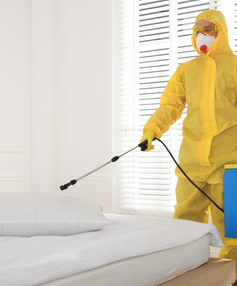 Professional Pest Control Team in Dulwich